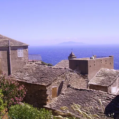 Maison De Village Cap Corse- Pozzo Brando, Bastia